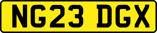NG23DGX
