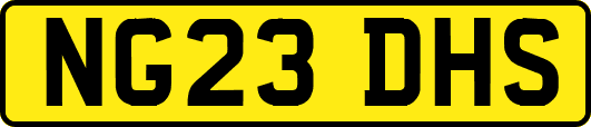 NG23DHS