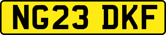 NG23DKF