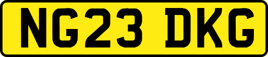 NG23DKG