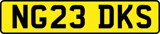 NG23DKS