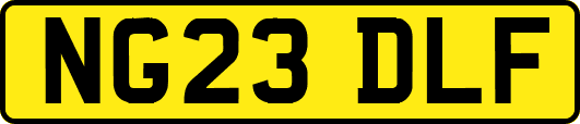 NG23DLF