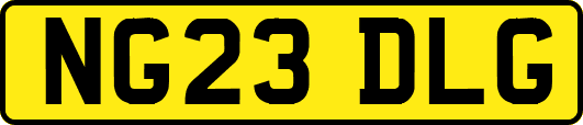 NG23DLG