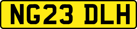 NG23DLH
