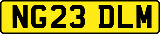 NG23DLM