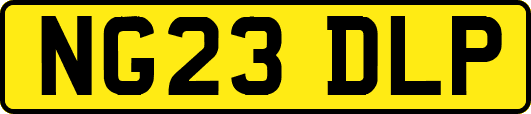 NG23DLP