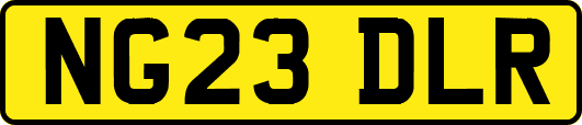 NG23DLR