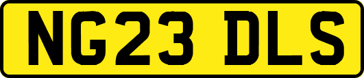 NG23DLS