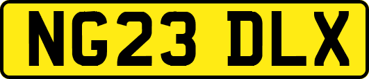 NG23DLX