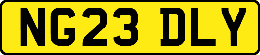 NG23DLY