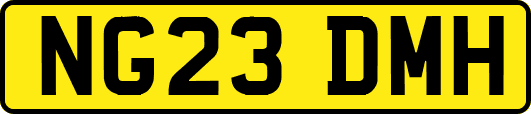 NG23DMH