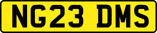 NG23DMS