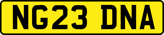 NG23DNA