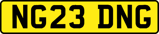 NG23DNG