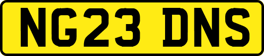 NG23DNS