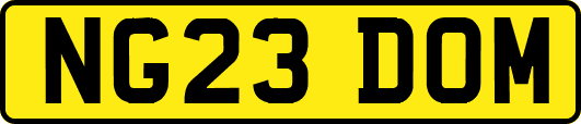 NG23DOM