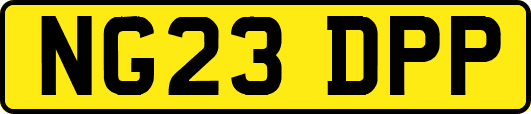 NG23DPP