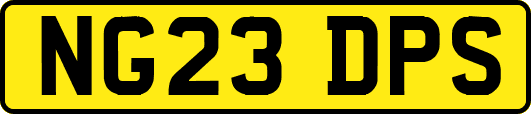 NG23DPS