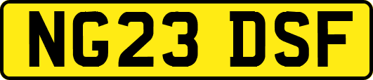 NG23DSF