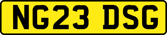 NG23DSG