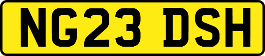 NG23DSH