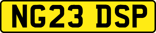 NG23DSP