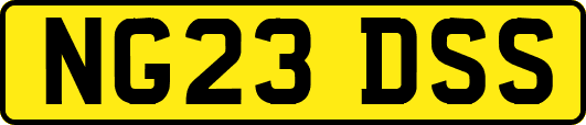 NG23DSS