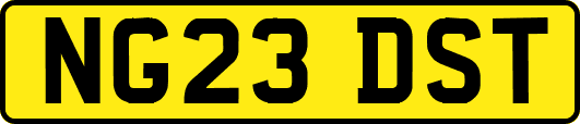 NG23DST