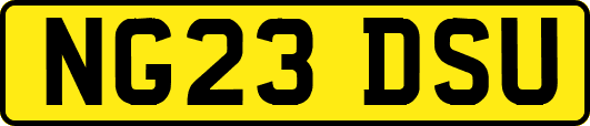 NG23DSU