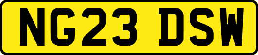 NG23DSW