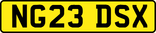 NG23DSX