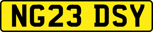 NG23DSY