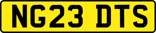 NG23DTS