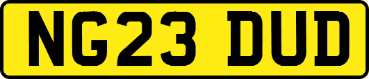 NG23DUD