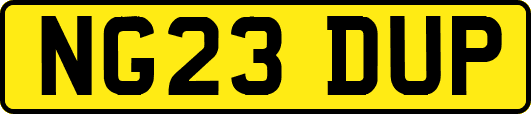 NG23DUP