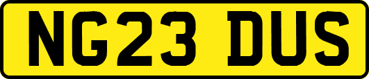 NG23DUS