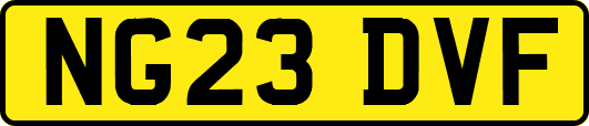 NG23DVF