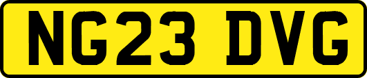 NG23DVG
