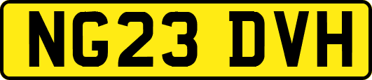 NG23DVH
