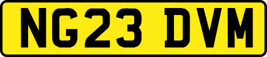 NG23DVM