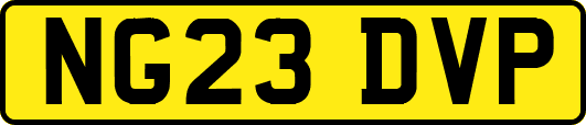 NG23DVP