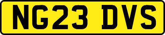 NG23DVS