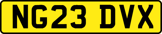 NG23DVX