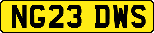 NG23DWS