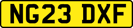 NG23DXF