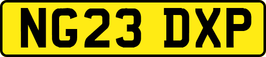 NG23DXP