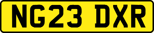 NG23DXR