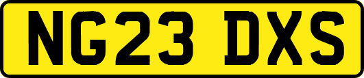 NG23DXS