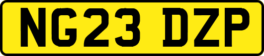 NG23DZP