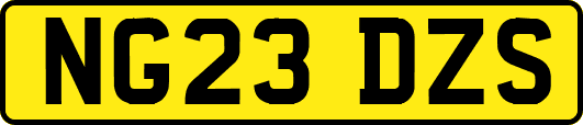 NG23DZS